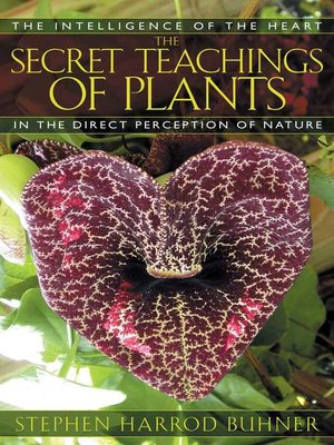 cover image of The Secret Teachings of Plants